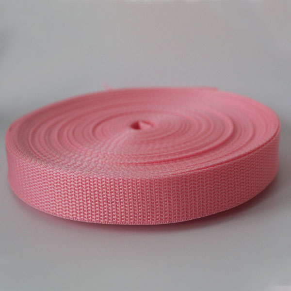 25mm UV Resistance Webbing Weave Textured