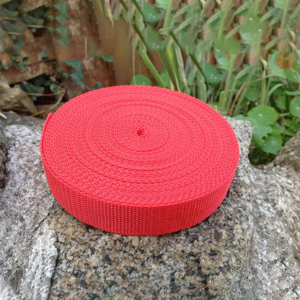 25mm UV Resistance Webbing Weave Textured